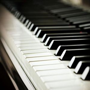 日本黄页网站免费大全
