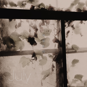 日本黄页网站免费大全
