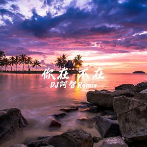 日本黄页网站免费大全
