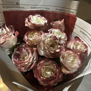 日本黄页网站免费大全
