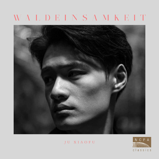 日本黄页网站免费大全
